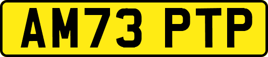 AM73PTP