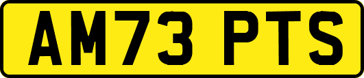 AM73PTS