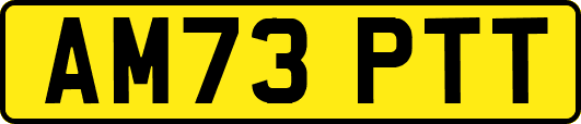 AM73PTT