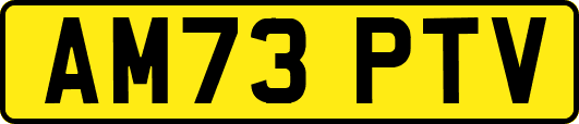 AM73PTV