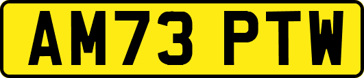 AM73PTW