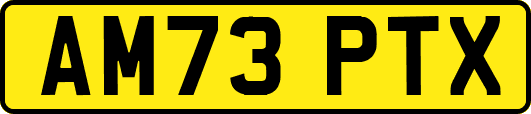 AM73PTX