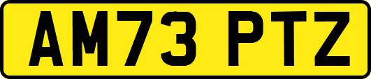 AM73PTZ