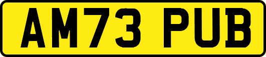 AM73PUB