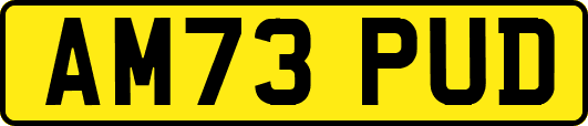 AM73PUD