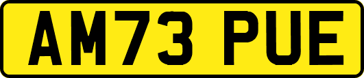 AM73PUE