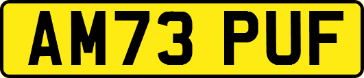 AM73PUF