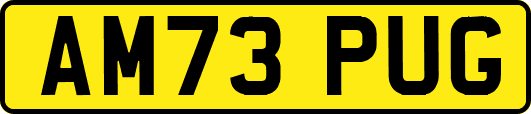 AM73PUG