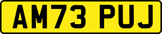 AM73PUJ