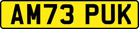 AM73PUK