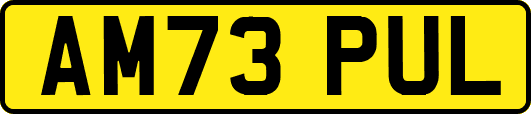 AM73PUL