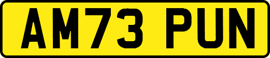 AM73PUN