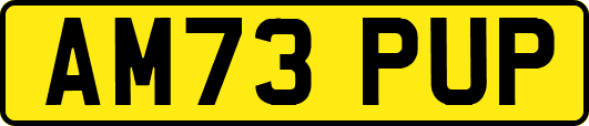 AM73PUP