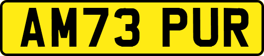 AM73PUR