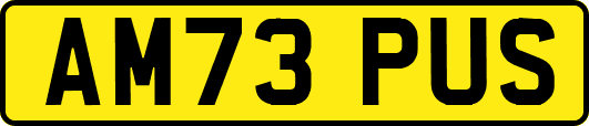 AM73PUS