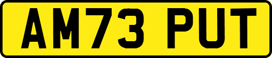 AM73PUT