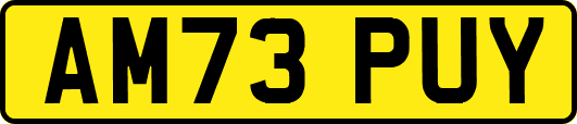 AM73PUY