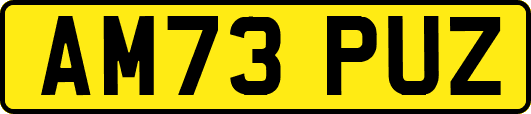 AM73PUZ
