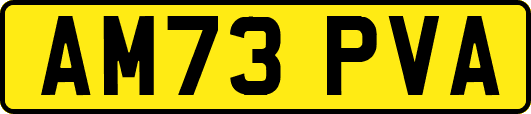 AM73PVA