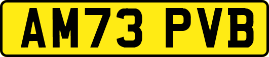 AM73PVB