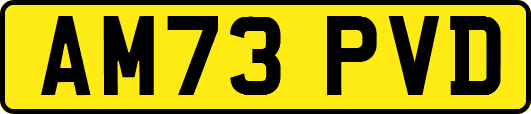 AM73PVD