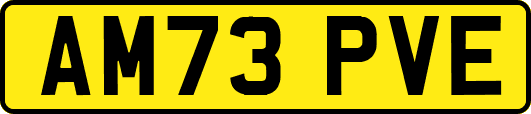 AM73PVE