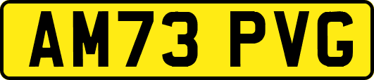 AM73PVG