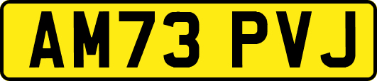 AM73PVJ