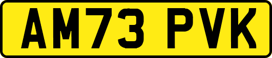 AM73PVK