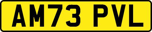 AM73PVL