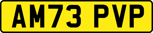 AM73PVP