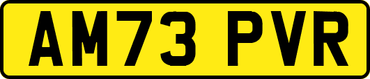 AM73PVR