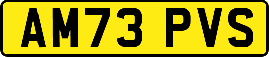 AM73PVS