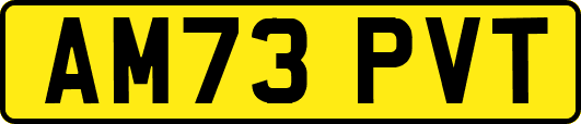 AM73PVT