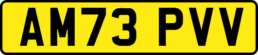 AM73PVV