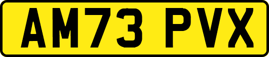 AM73PVX