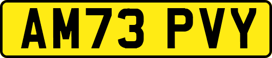 AM73PVY