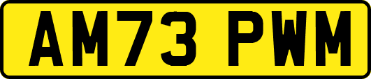AM73PWM