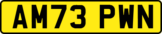 AM73PWN