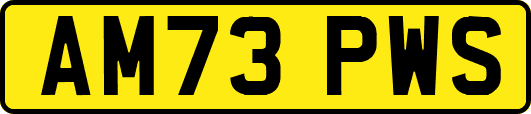 AM73PWS