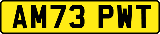 AM73PWT