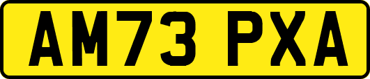 AM73PXA