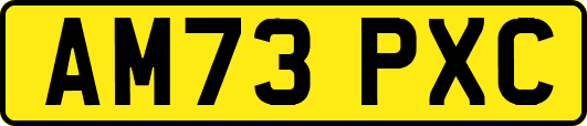 AM73PXC