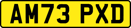 AM73PXD