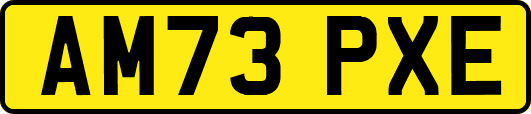 AM73PXE