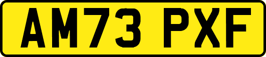 AM73PXF