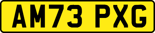 AM73PXG
