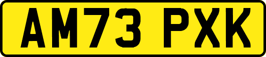 AM73PXK