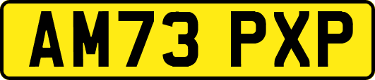 AM73PXP