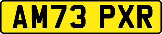 AM73PXR